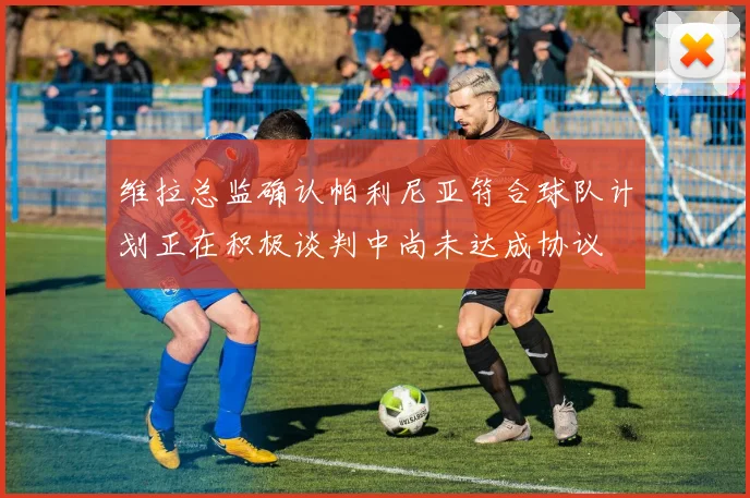 维拉总监确认帕利尼亚符合球队计划正在积极谈判中尚未达成协议